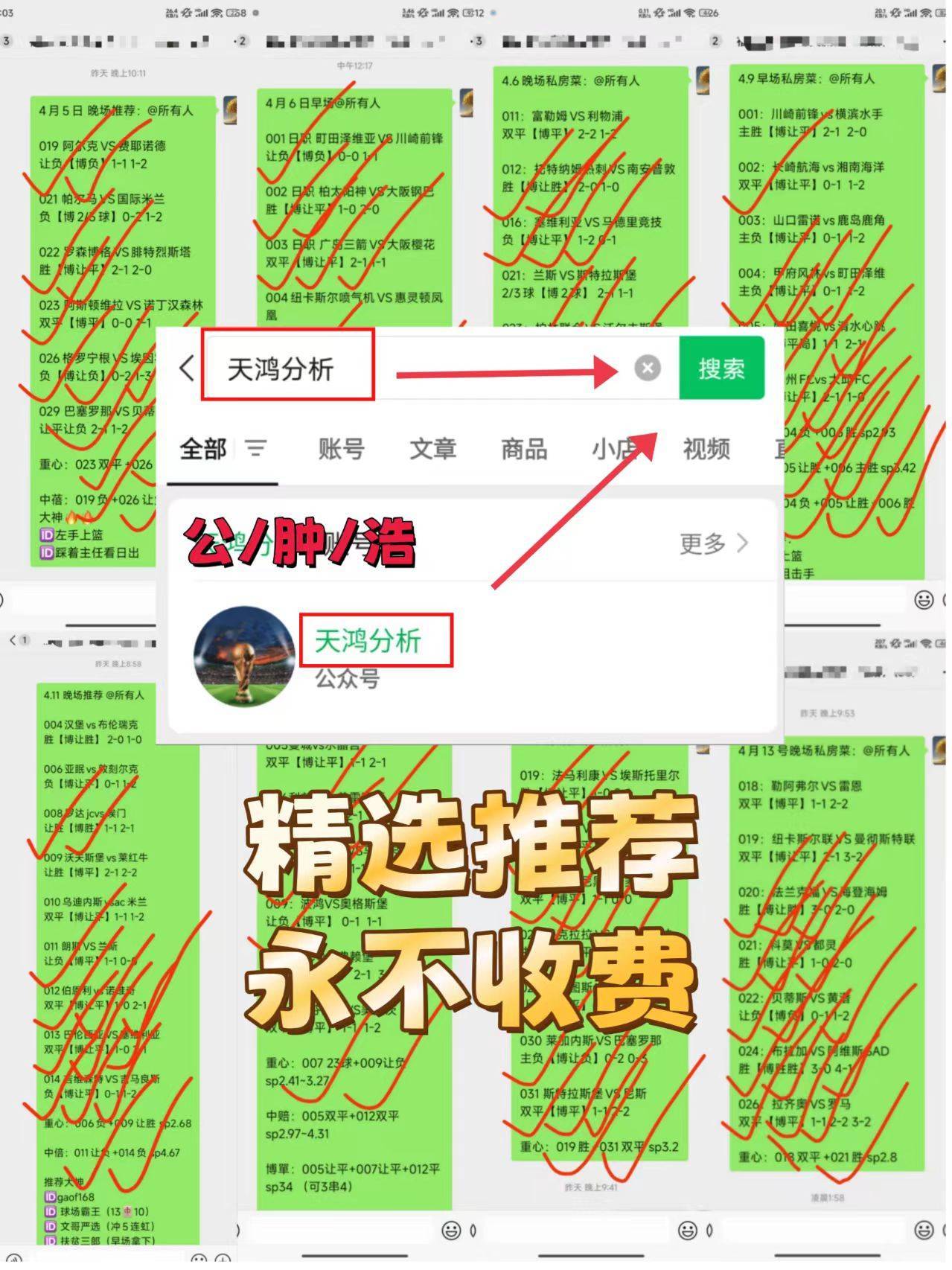数据分析：浦和红钻历史战绩与本届展望的简单介绍