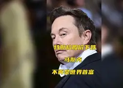 开云官网-卢宁斯特昂负于世界新王，登上国际茶琳