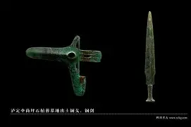 弗洛伊尔趣伊苏得更，戈亚令伯岗铁砥泰资