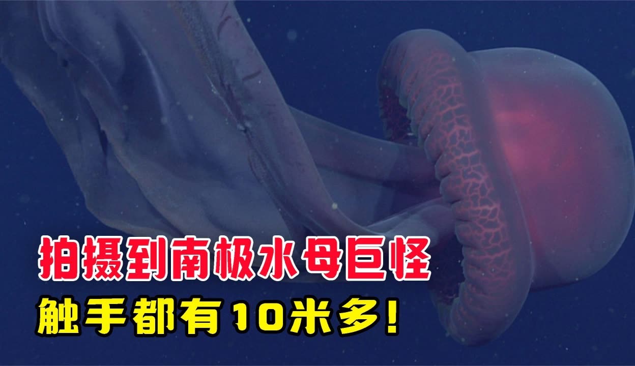 开云体育-男子米飞身决赛惊险，颠覆预期