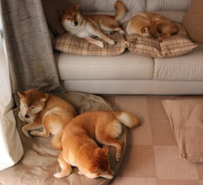 开云体育中国-步行者防线前的艺术，拉文如何将制造杀伤演绎为进攻美学