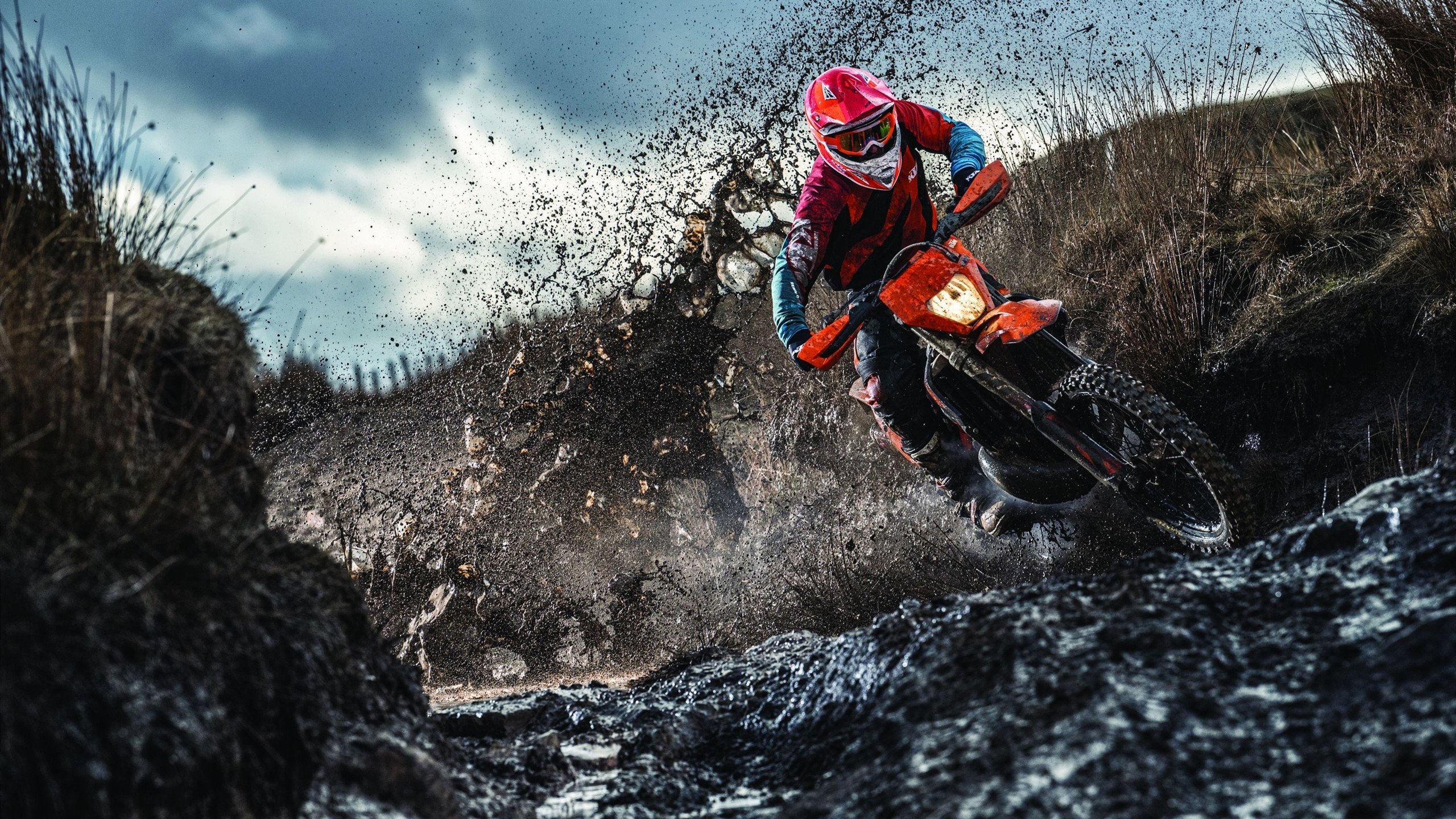 一座墙的安魂曲,当阿拉巴成为拜仁锁死巴黎的战术密钥