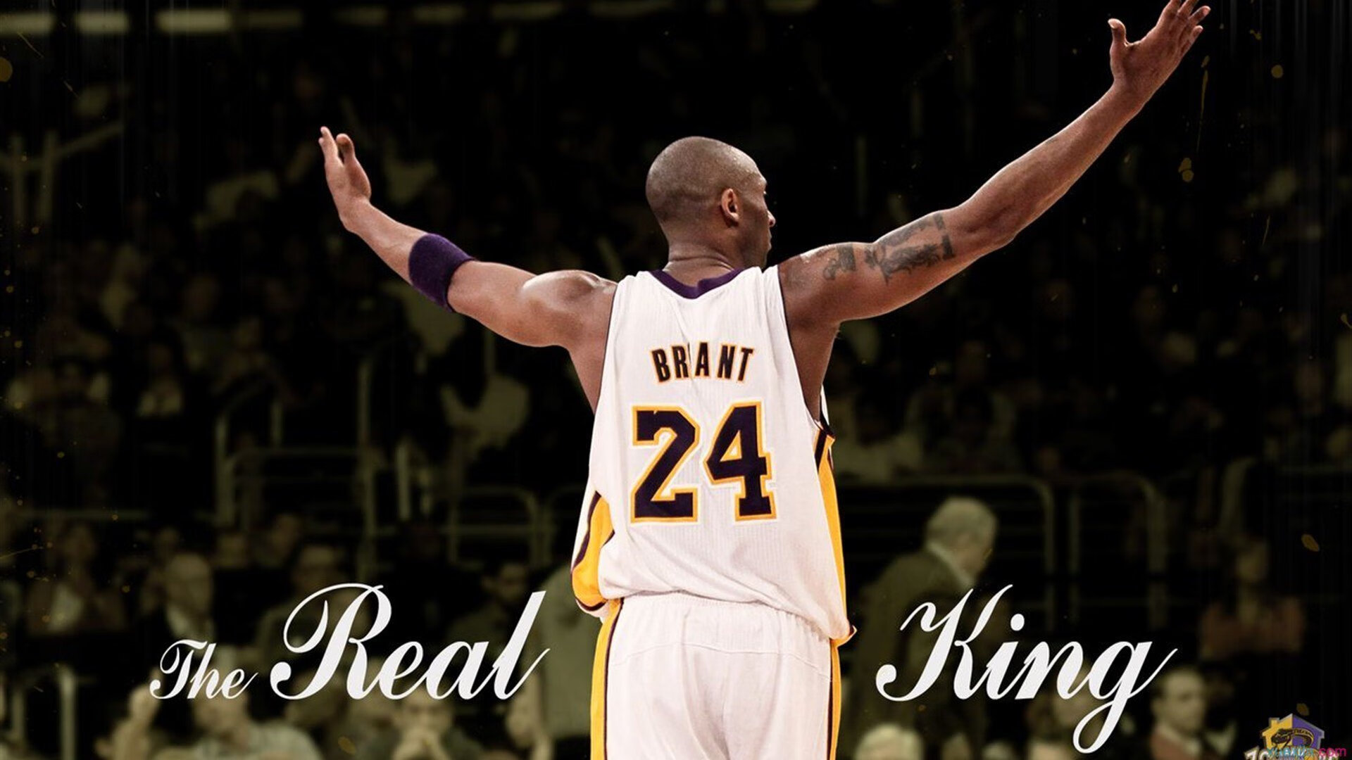 开云APP-温网完胜年终总决赛，纳达尔的血色荣光，点燃伦敦的盛夏与寒冬